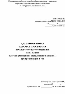 Адаптированная рабочая программа по русскому языку 1 класса