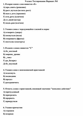 Обложка для материала 9 класс, 1-ое полугодие Тестирование Повторяем орфографию и пунктуацию