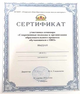 Сертификат участника семинара "Современные подходы к организации образовательного процесса обучающихся с ОВЗ"