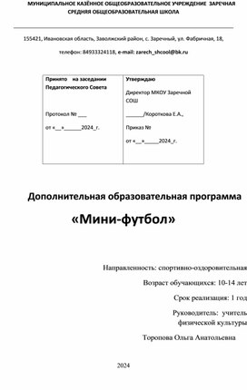 Дополнительная образовательная программа «Мини-футбол»