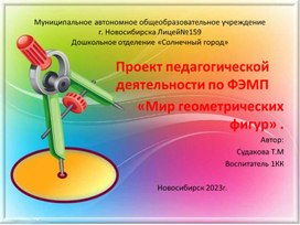 Обложка для материала Проект педагогической деятельности по ФЭМП: "Мир геометрических фигур".