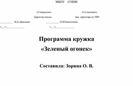 Программа кружка по внеурочной деятельности "Зеленый огонек"