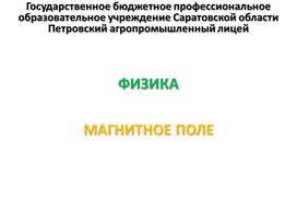 Обложка для материала Презентация к уроку на тему "Магнитное поле"