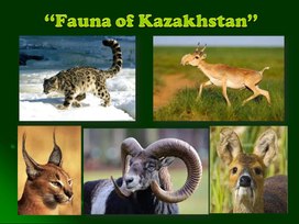 Презентация по английскому языку для учащихся 10 класса  на тему  "Fauna of Kazakhstan" "Let`s Keep our environment clean"