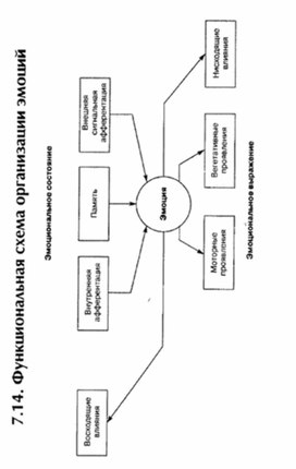 Обложка для материала материал по психофизиологии