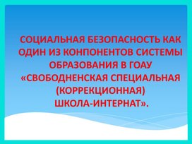 Презентация Социальная безопасность школы-интерната