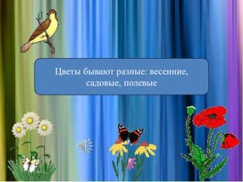 Презентация на тему: "Цветы бывают разные: весенние, садовые, полевые"