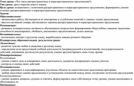 Консспект урока с самоанализом. Что такое распространенные и нераспространенные предложения. 2 класс