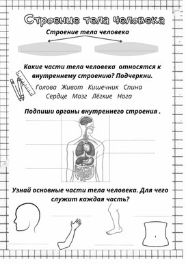Рабочий лист к уроку окружающего мира по теме "Строение тела человека", 2 класс, УМК "Школа России"