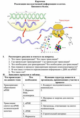 Биосинтез белка