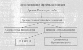 Материал к урокам  биологии