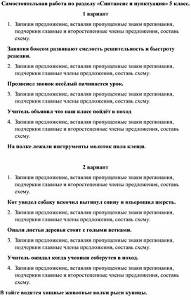 Самостоятельная работа по русскому языку по разделу "Синтаксис и пунктуация" 5 класс
