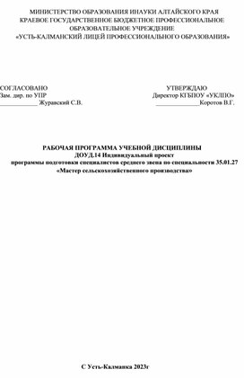 Рабочая программа по Индивидуальному проекту