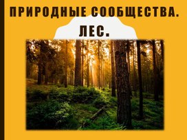 Обложка для материала Методический материал на тему "Понятие Лес. Для чего лесу солнце, воздух, вода?""