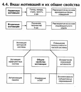 Обложка для материала материал по психофизиологии