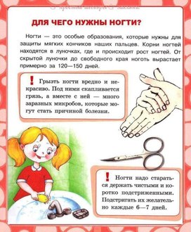 Обложка для материала для чего нужны ногти