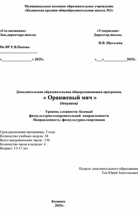 Обложка для материала Методическая разработка учебно-тренировочного занятия по баскетболу