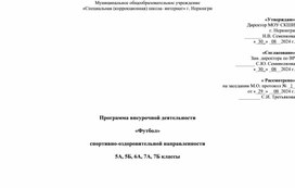 Программа внеурочной деятельности  «Футбол»