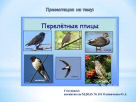 "Перелетные птицы" - презентация для старших дошкольников