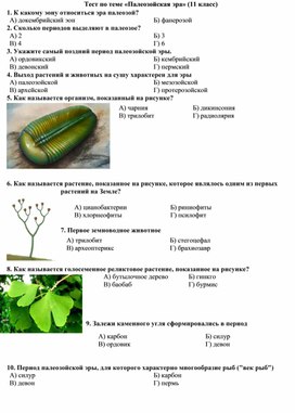 Обложка для материала 11 класс тест Палеозойская эра