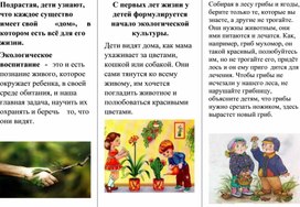Обложка для материала Буклет "Экологическое воспитание детей раннего возраста "