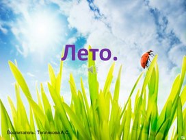 Презентация для детей от 5-6 лет Тема: Лето