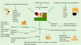 Ментальная карта «Bird Flu»