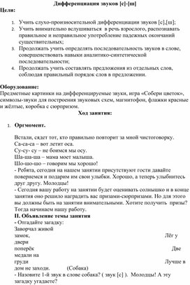 Конспект логопедического занятия по теме: "Дифференциация звуков [с]-[ш]".