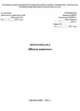 Программа ВУД "Школа вожатого"