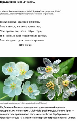 Обложка для материала Прелестная необычность.