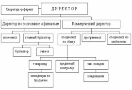 Обложка для материала Организационная структура ГПОУ ДЭМТ