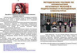 Обложка для материала ПО ПРОФИЛАКТИКЕ субкультур