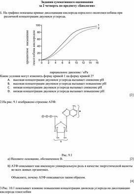 Ксп по биологии, 10 класс