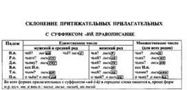Обложка для материала материал по  русскому  языку