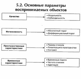 Обложка для материала материал по психофизиологии