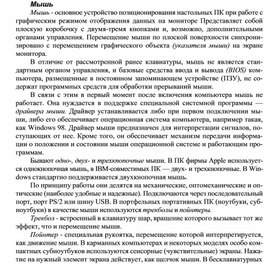 Обложка для материала Мышь