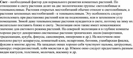 Обложка для материала фикус каучуконосный, монстера лакомая