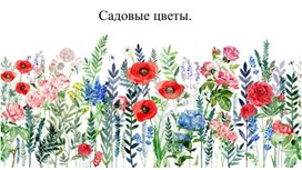 Обложка для материала Садовые цветы