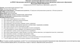 Обложка для материала Конструкт организации занятия по окружающему миру "Путешествие в Индию" в подготовительной группе