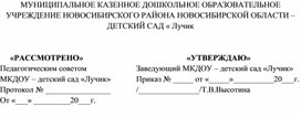 Рабочая программа для детей старшего возраста группы "Земляничка"