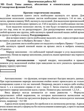 Практическая работа №3  MS Excel. Типы данных, абсолютная и относительная адресация. Стандартные функции Excel.