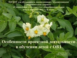 Презентация ""Особенности проектной деятельности в обучении детей с ОВЗ"