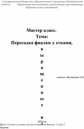 Мастер класс. Тема:  «Пересадка фиалки детками, выращенных из листочков».