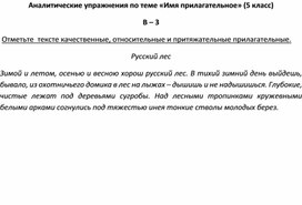 Аналитические упражнения по теме «Имя прилагательное» (5 класс) В – 3