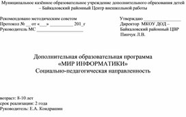 Рабочая программа "Мир информатики"