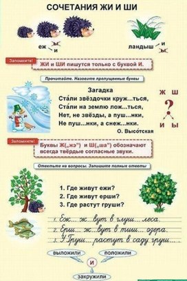 Обложка для материала сочетание ЖИ И ШИ