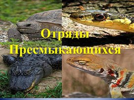 Отряды пресмыкающихся