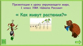 Обложка для материала Как живут растения?