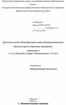 Полнительная общеобразовательная физкультурно-спортивная программа «Баскетбол»