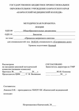 Обложка для материала МЕтодическая разработка "Процессы матричного синтеза"